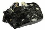 Black Tourmaline (Schorl) Crystal Cluster - Namibia #117511-1